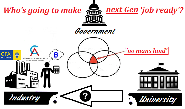 Who is going to make the next generation of accountants 'job ready'